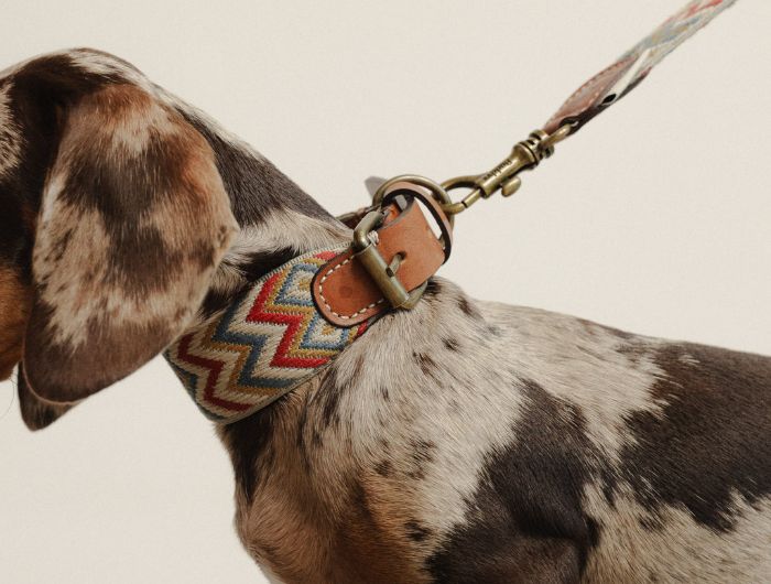 Buddys dogwearのIndian（NAYA）のリードと首輪の写真